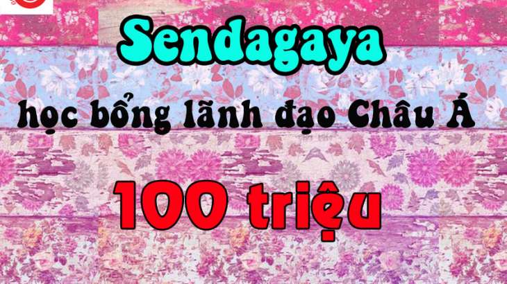 senda web 2