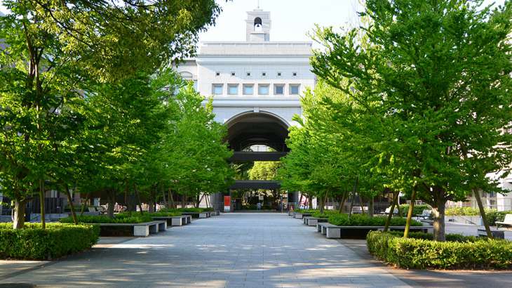 đại học kyoto