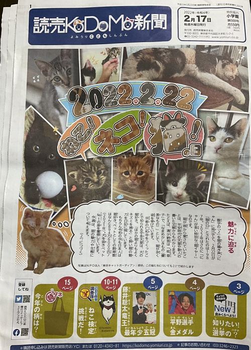 Báo Yomiuri dành cho trẻ em với trang nhất tràn ngập hình ảnh những chú mèo. (Ảnh: japantravel.com)