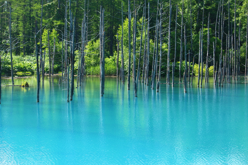 Hồ xanh hokkaido