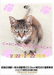 Tấm hình chú mèo được đính kèm với vé. (Ảnh: Mainichi)