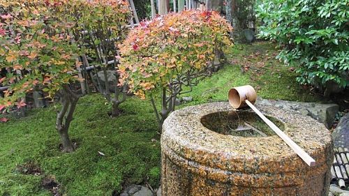 Vườn Nhật bao quanh phòng trà với bồn nước cho khách rửa tay. (Ảnh: www.japan-guide.com)